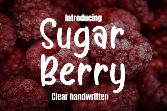 Sugar Berry: A Friendly Display Font for Handmade Charm